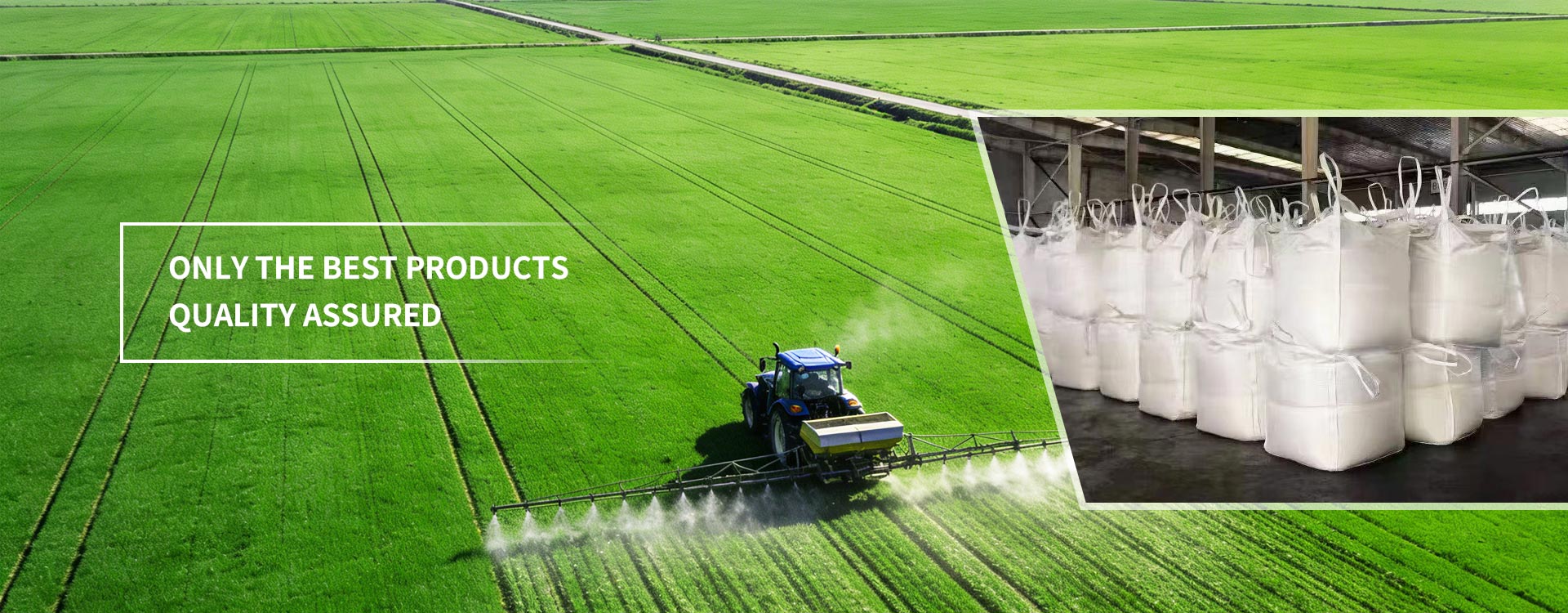 Quality Assured only the Best Products Quality Assured only the Best Products
